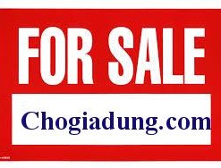 tên miền chogiadung.com