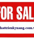 tên miền Phattrienkynang.com.vn